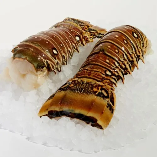 live Lobster/Pacific Canadian Red Lobsters/Seafood Fresh lobsters FOR SALE