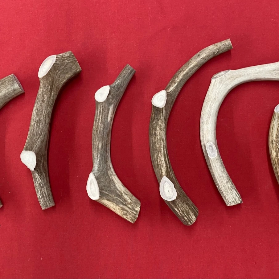 Олени Whitetail олени пучок