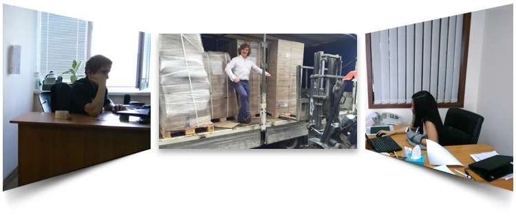 High Quality Pure Range Natural Organic Animal Feed Safflower Kernel Seeds at Bulk Price