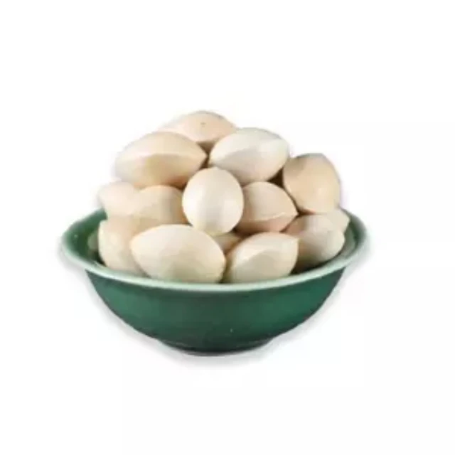 100% Fresh ginkgo nuts for sale