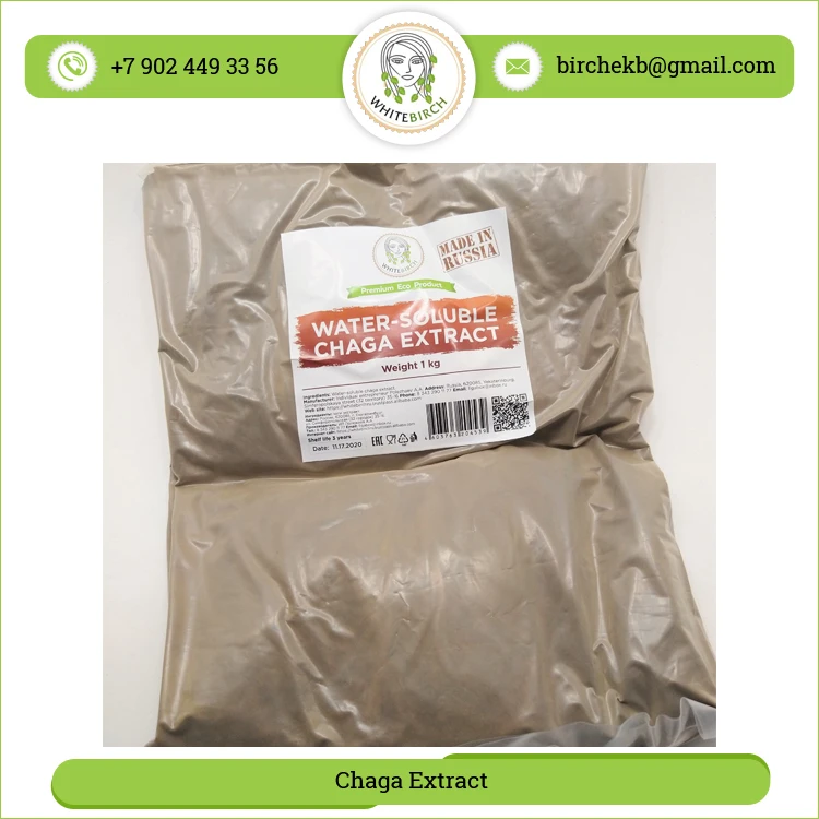 Direct Factory Sale High Quality Herbal Chaga Mushrooms Extract Powder at Low Market Price