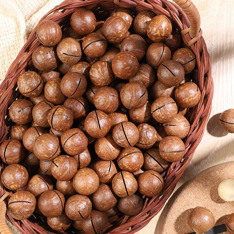Top Grade Factory Price Bulk Macadamia in shell Wholesale Roasted Macadamia Creamy/ Coffee/ Original Flavor