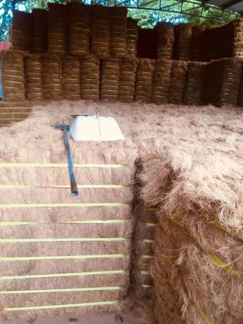 
Best Selling Natural Coconut Fibre With 100% From Coconut Coir For Mattress Production 