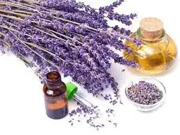 High Quality GMP Certified 100% Pure and Organic Lavender Oil