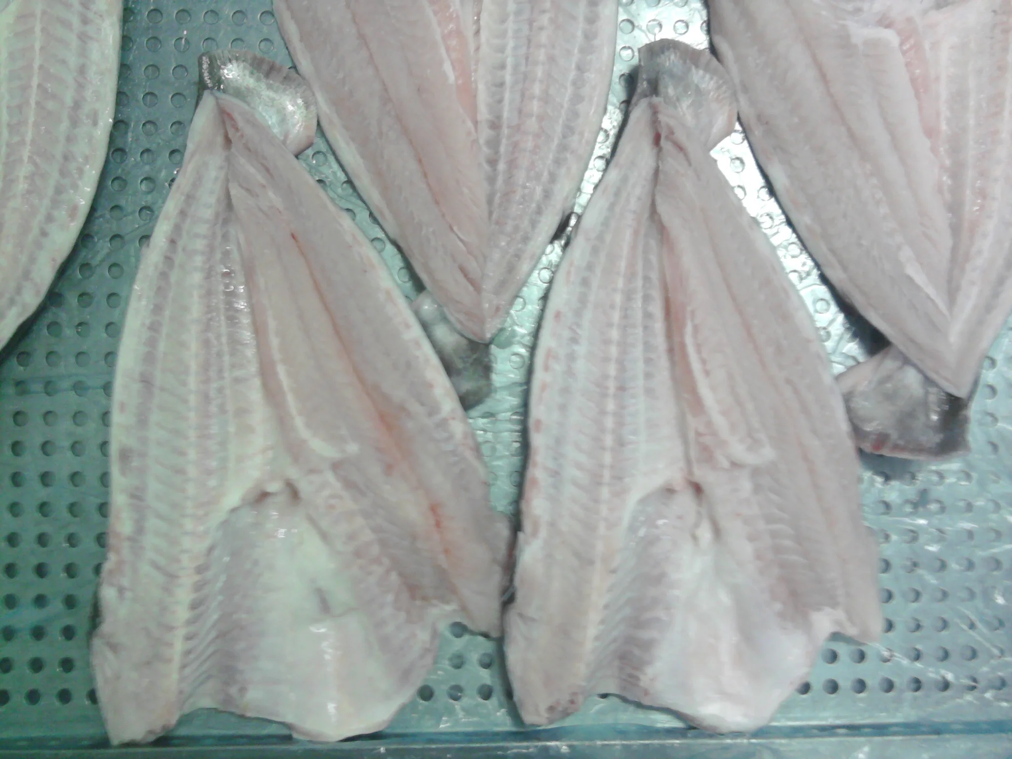 BUTTERFLY PANGASIUS - IQF Frozen fish seafood pangasius fillet with Best price made in Viet Nam for SALE
