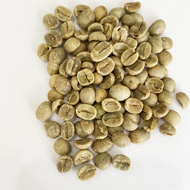 Price of raw coffee beans common coffe beans drinking robusta coffee bean