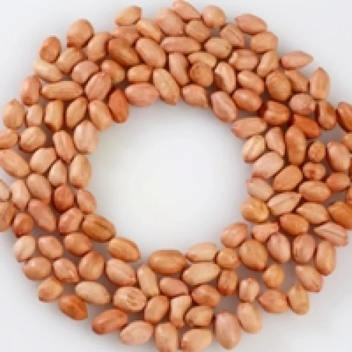 Raw Peanuts Groundnuts