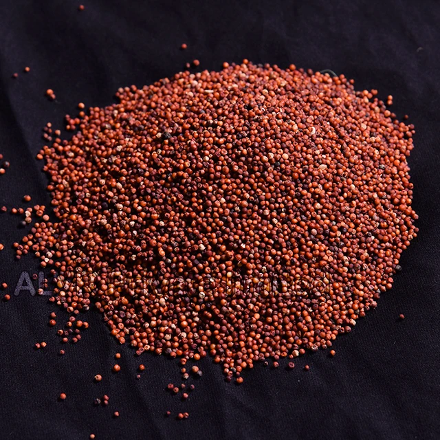 Premium Quality of Indian millet source of antioxidants with higher levels of fiber FINGER MILLET whole sale with Good Prices