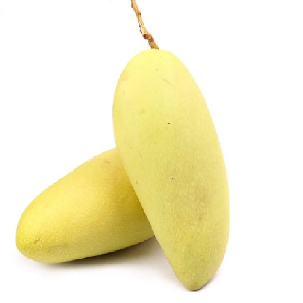 Свежий тайваньский манго зеленый желтый класса премиум