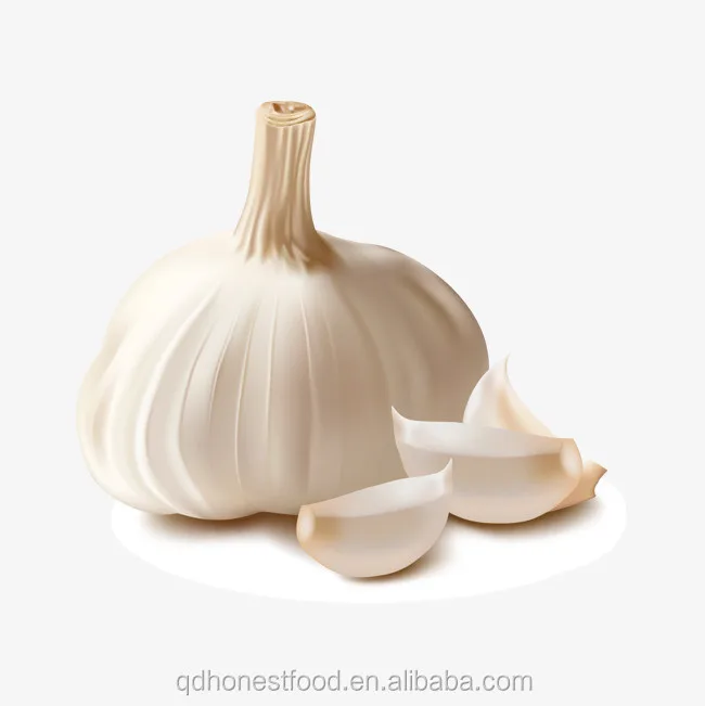 Wholesale Chinese new crop white fresh garlic price | New Arrival Fresh Garlic