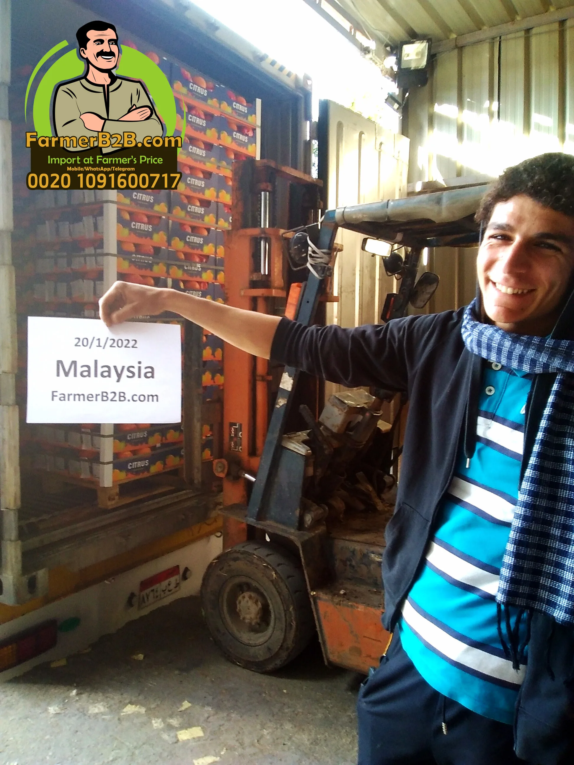 2022 Египет Свежий Оранжевый наша последняя доставка в Малайзию (Высшее качество)