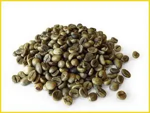 
Good Price High Quality For Wholesale Vietnamese Robusta Coffee NATURAL Origin Type Variety Size Organic cultural 