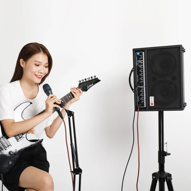 Лидер продаж Шелковый динамик для акустической гитары на заказ с принтом