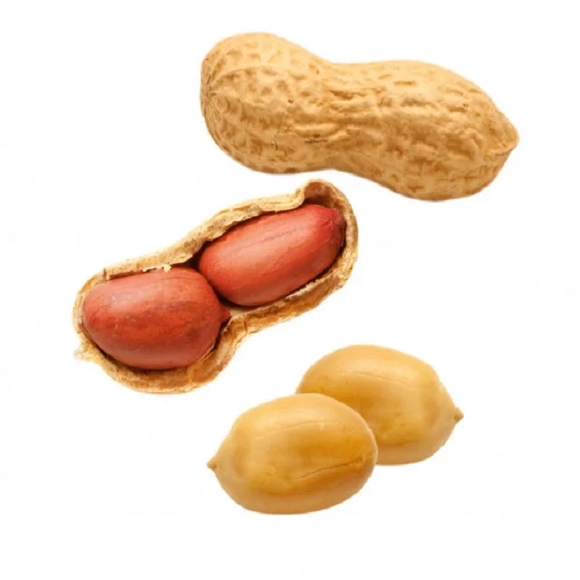 Health in every piece - Groundnut or Peanuts