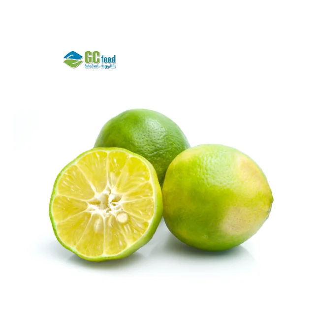 Viet Nam Fresh Seedless Lemon - Organic Fresh Lemon - Lemon Squeezer - Citrus Lime fruit Vietnam Healthy Nutritious Fresh