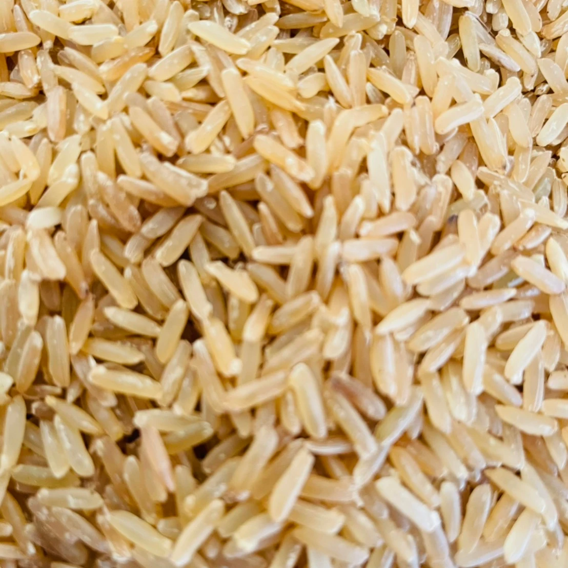 
Certified Organic Germinated GABA Hom Mali Jasmine Fragrance Rice Grain Premium Export Quality EU COR 5% Broken 