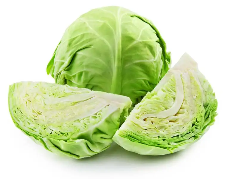 Fresh Cabbages