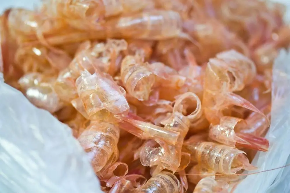 
DRIED SHRIMP SHELL & SHRIMP POWDER FOR ANIMAL FEED - HIGH QUALITY 