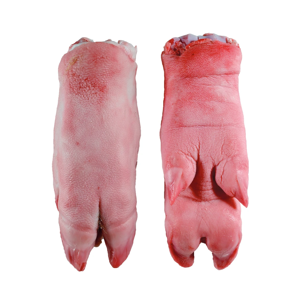 
FROZEN PORK FRONT FEET SHORT CUT FOR EXPORT 