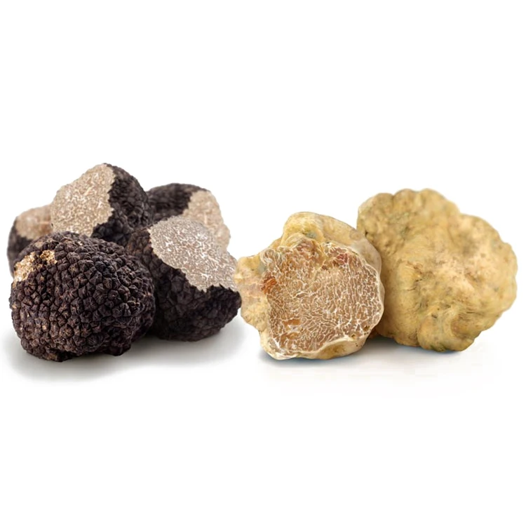 
Fresh Wild Black Italian Truffles 