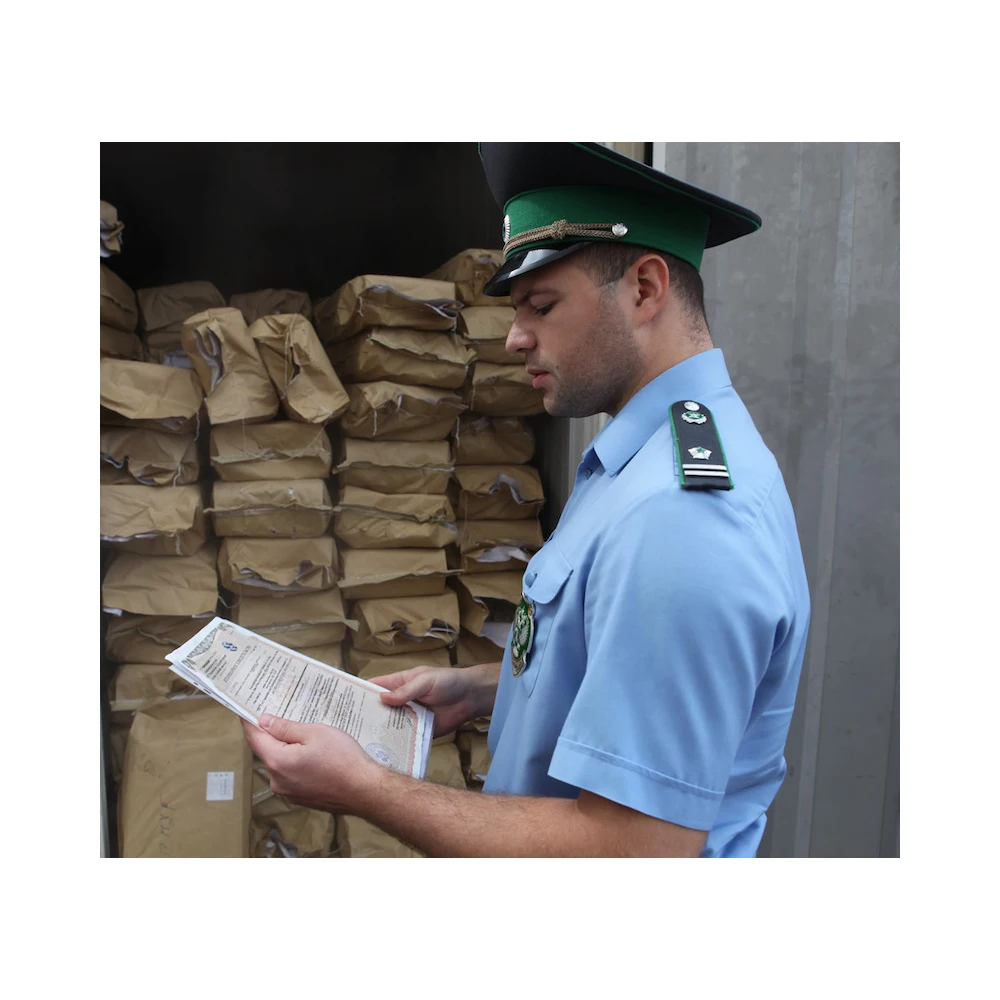 Customs clearance services in Russia