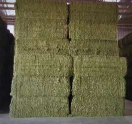 Top Quality  Timothy / Alfalfa HAY FOR SALE
