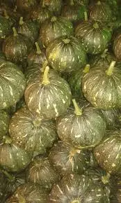 FRESH PUMPKIN HIGH QUALITY