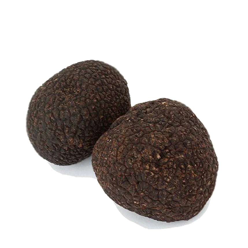 Свежие черные трюфели юньнанский лес дикие съедобные грибы свежие