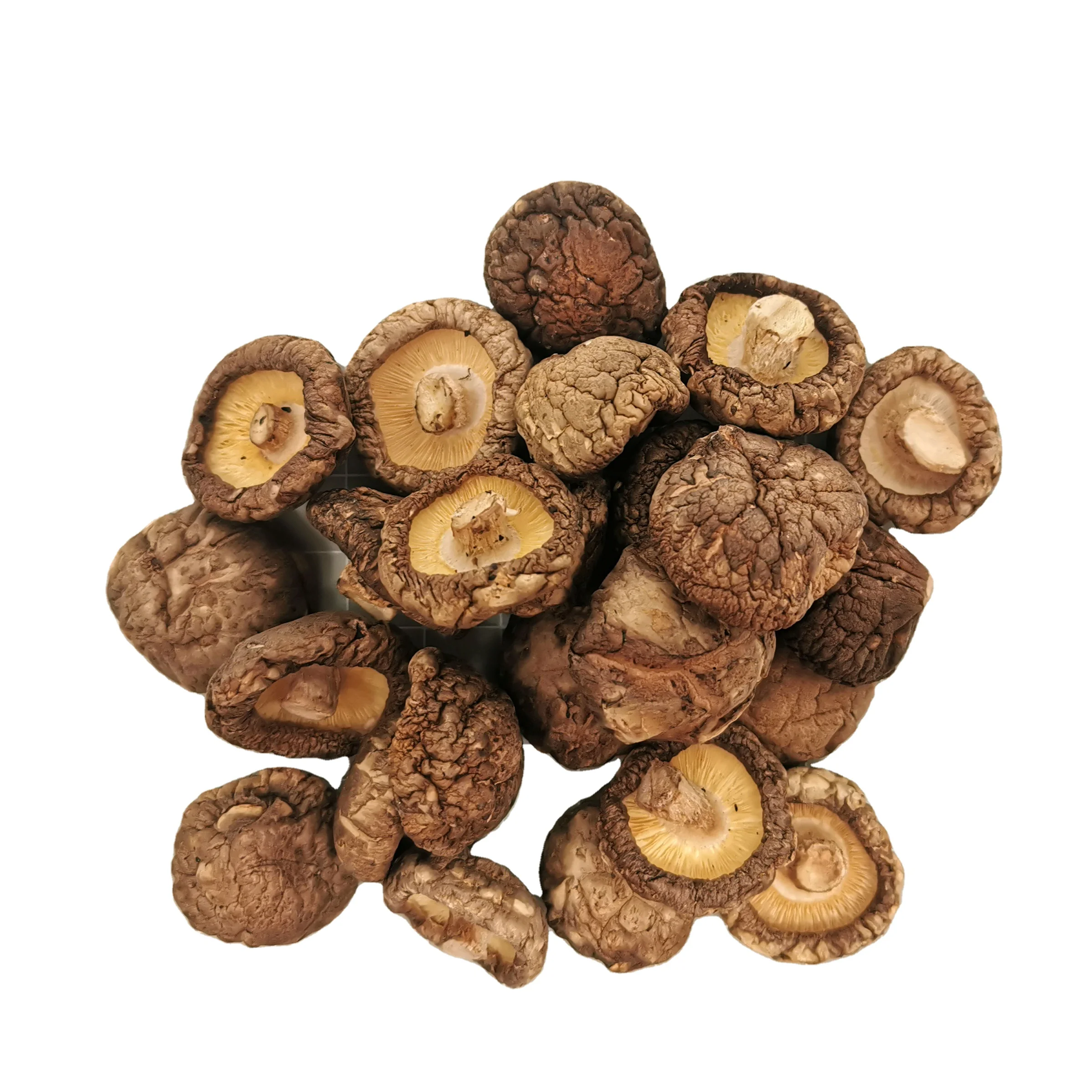 Factory directly supply dried organic magic mushrooms