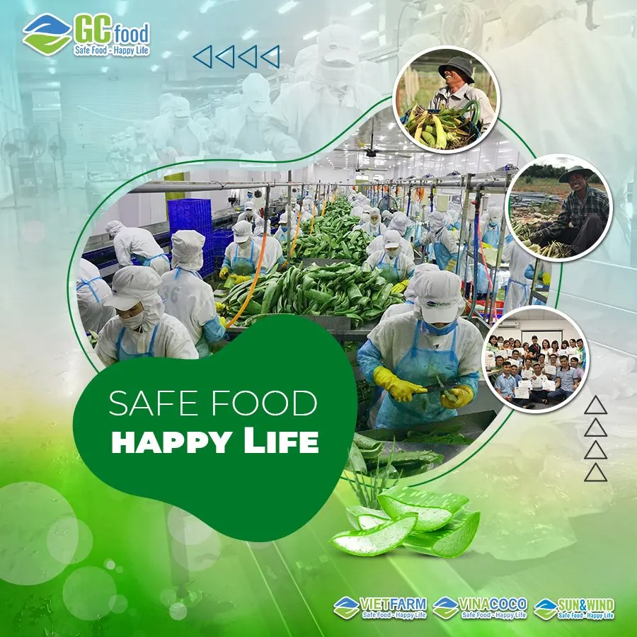 Кубик алоэ вера/кубики вера высокого качества от ведущего производителя из Вьетнама/Ms.Anna + 84 364930172