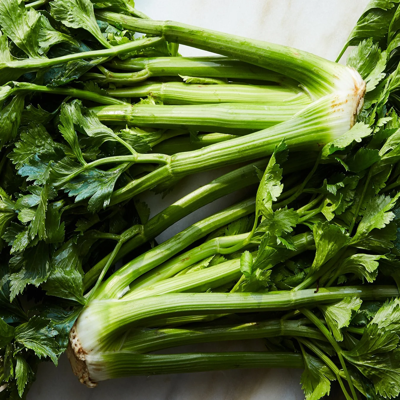 Pure Natural Organic Green Vegetables Wholesale Fresh Delicious Green Celery