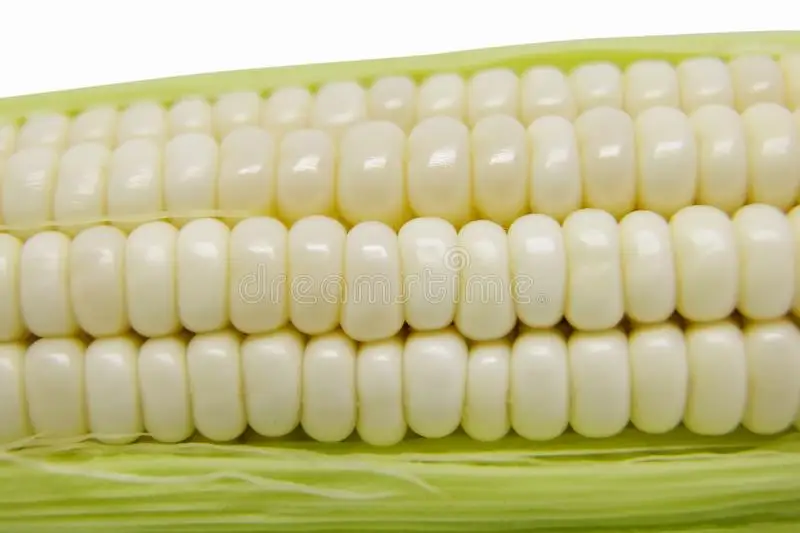 
Cheap Price Dry White Maize Corn for For Sale 