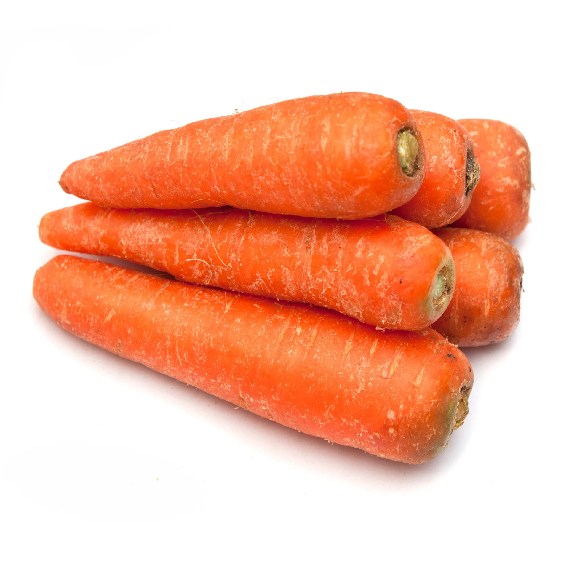 Свежая морковка высокого качества