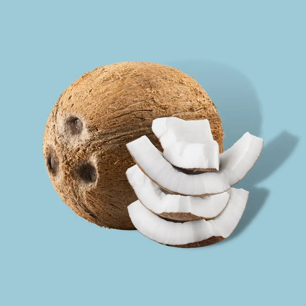 Экспорт осушенного кокоса, органические кокосовые закуски, зрелый кокос