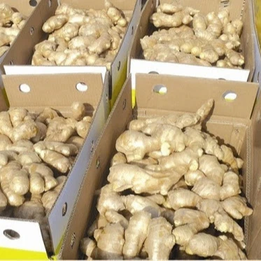 
crystal ginger,fresh ginger,dry ginger supplier 