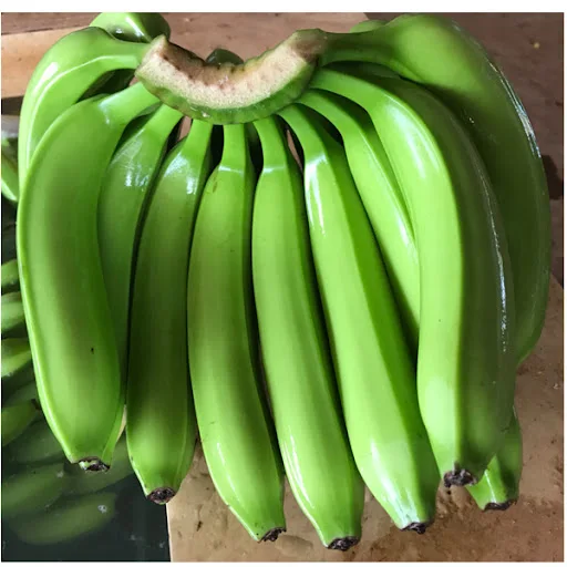 Fresh Cavendish Banana From Vietnam/ Kotinochi brand