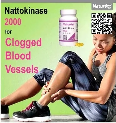 Made in Singapore Nattokinase 2000 Antithrombotic and support Healthy Blood Circulation Safe Approved