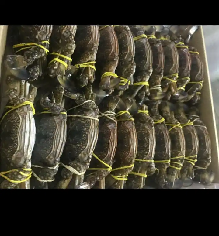 Наполовину разрезанный замороженный синий краб для плавания