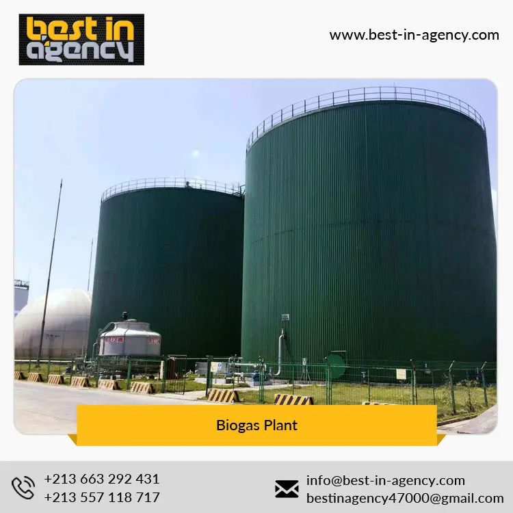 
25000 Cubic Meters Volume Industrial Sewage Biogas Plant Project-Lipp Fermemter 