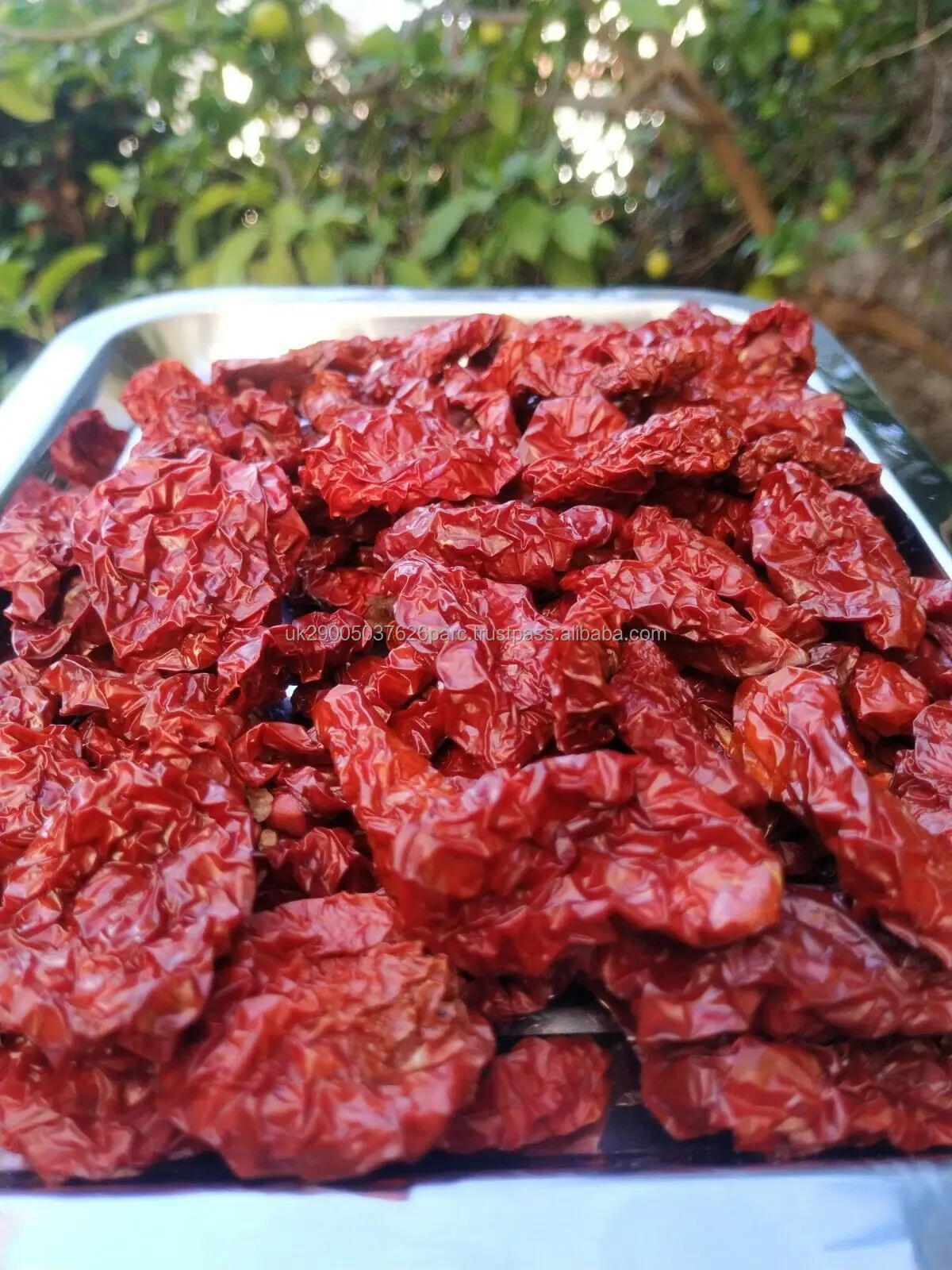 Organic Sun-Dried Tomatoes with Sea Salt by Food to Live (Kosher, Unsulfured)