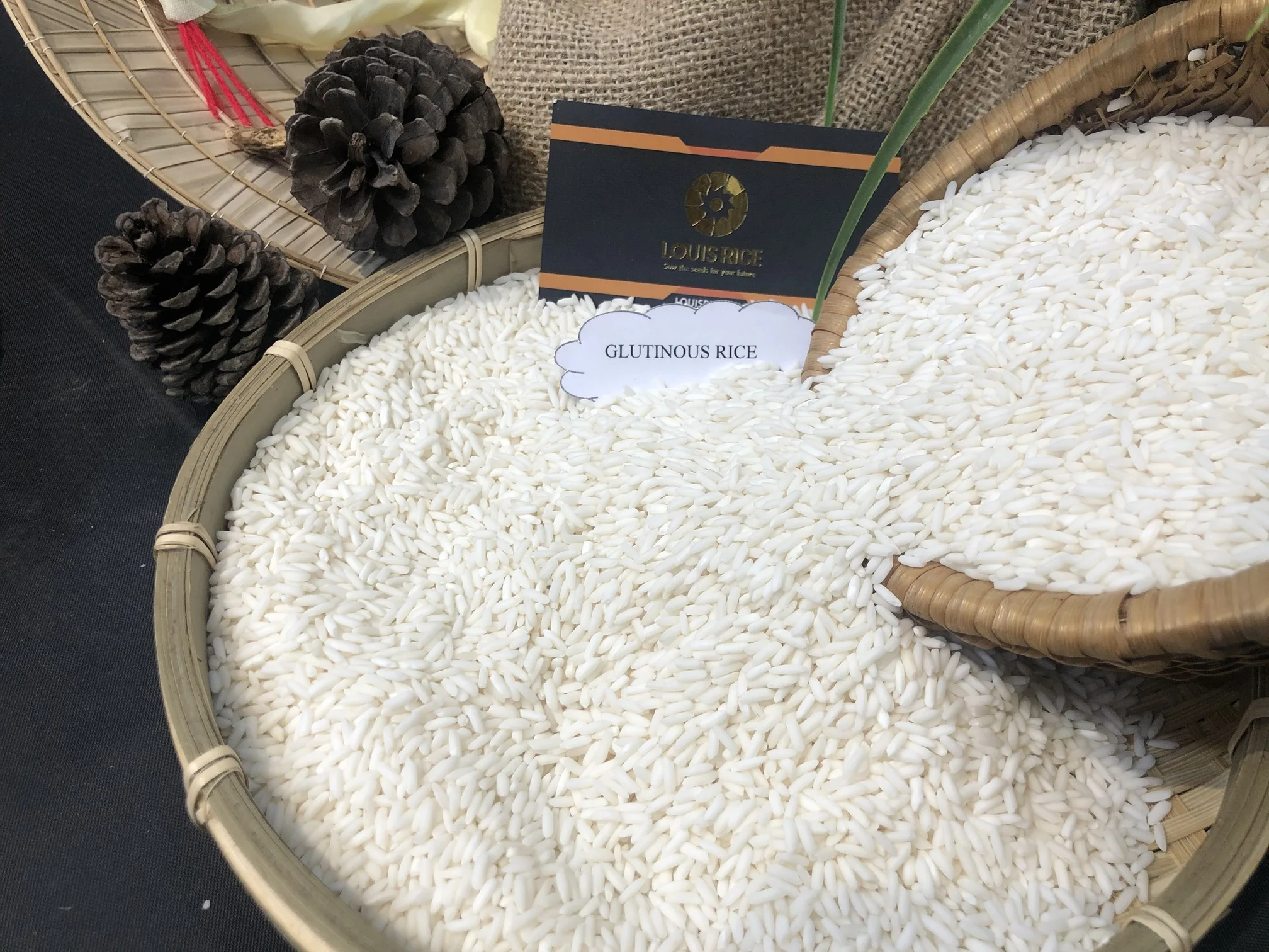 Лидер продаж 10% Сломанный глютиновый рис Long An