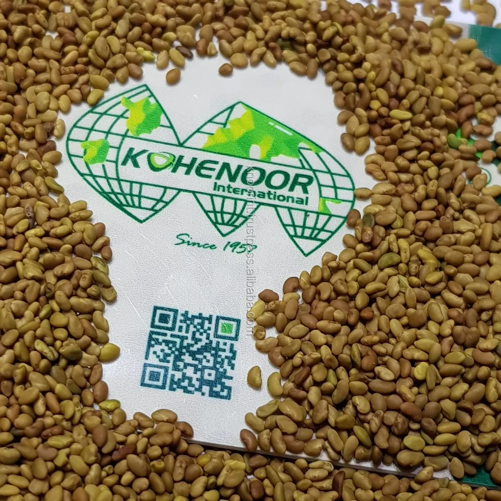 Top Quality Kohenoor A1 Alfalfa Seed