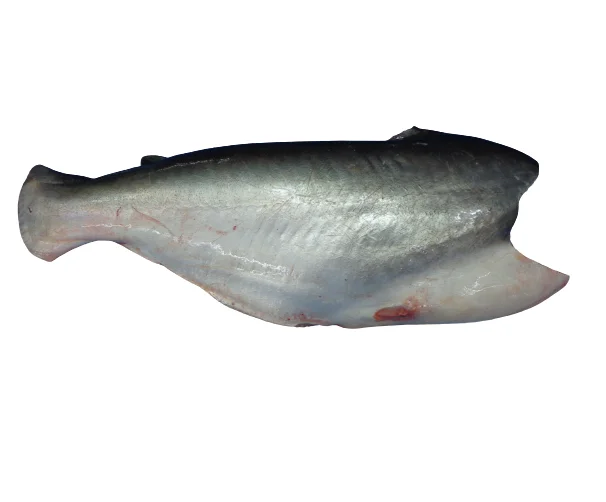 VietNam Seafood Pangasius HGT/Basa fish/Pangasius Hypophthalmus premium grade