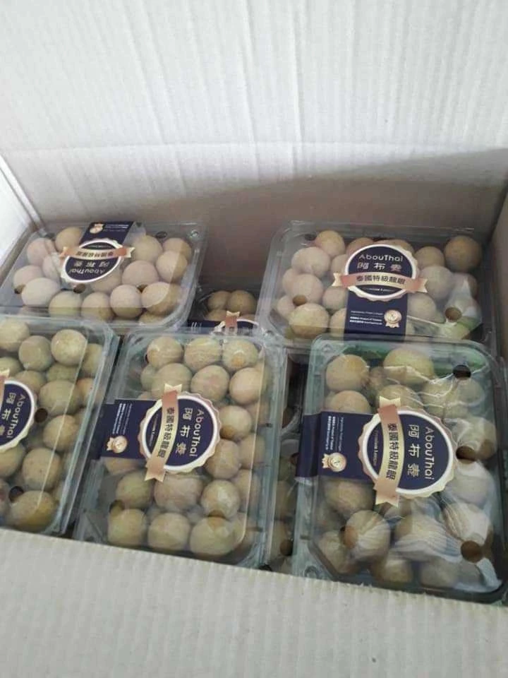 Thailand Premium Fresh Longan -  tropical fruit from Thailand (Direct from Farmer) OEM packaging