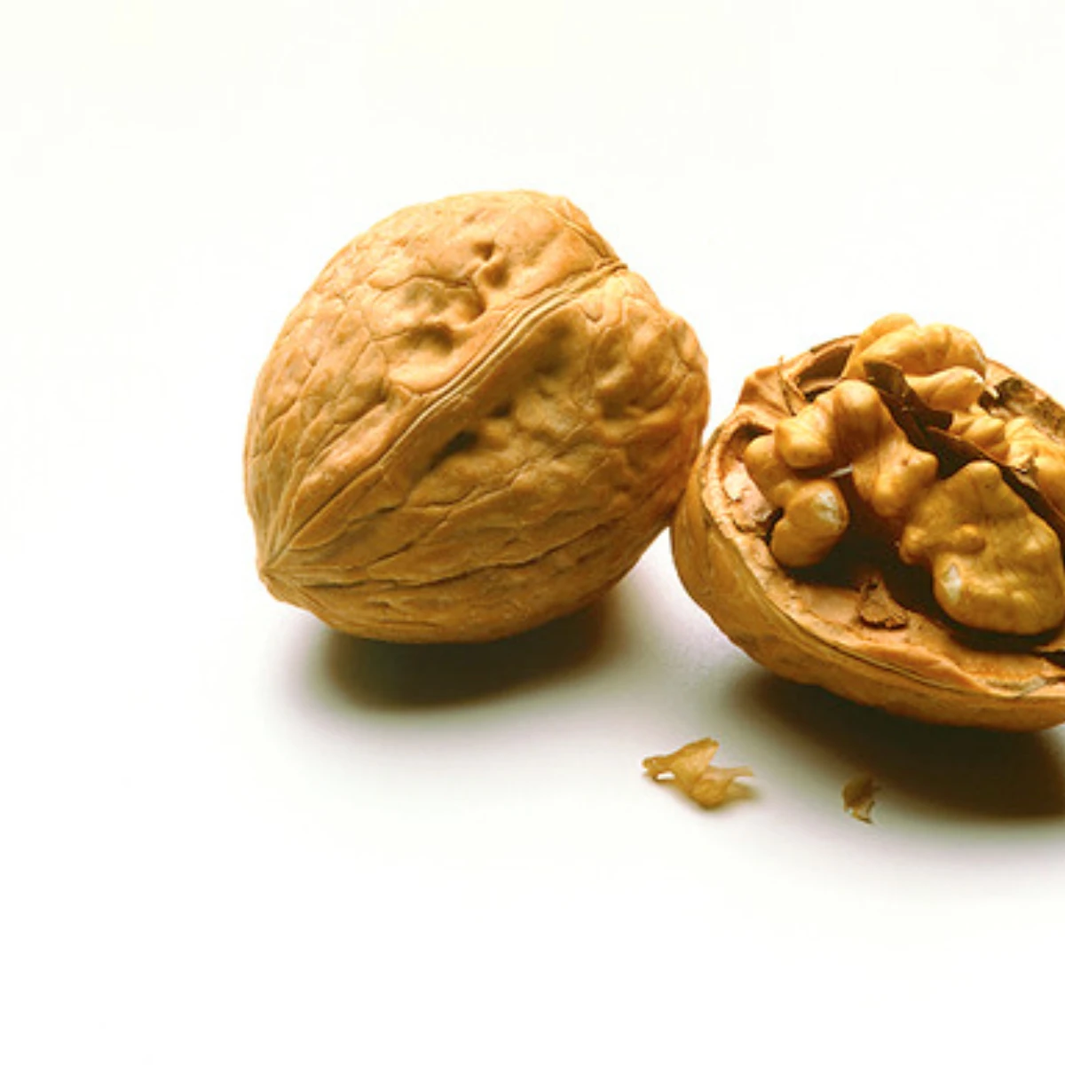 Высококачественный белок грецкого ореха