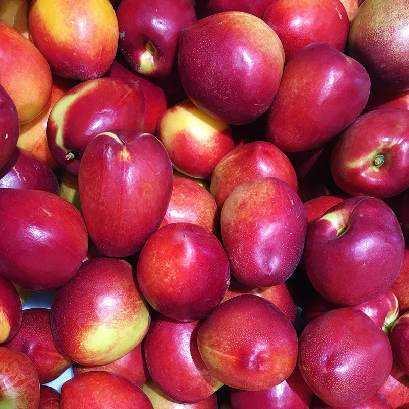  Свежие персики и нектарины для продажи