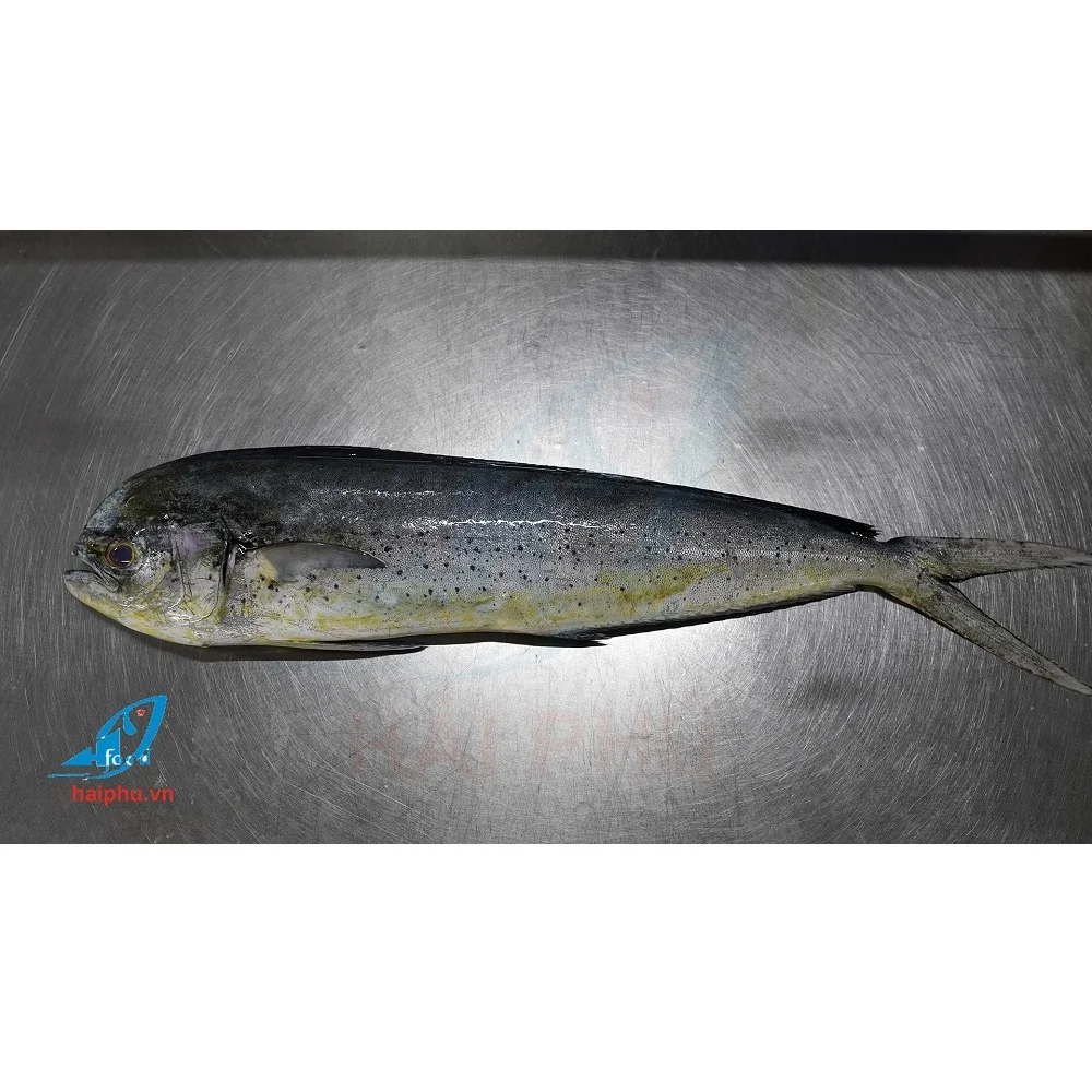 Филе Mahi лучшее Производство рыбы по горячей цене и лучшей оптовой хорошо подходит для клиента во