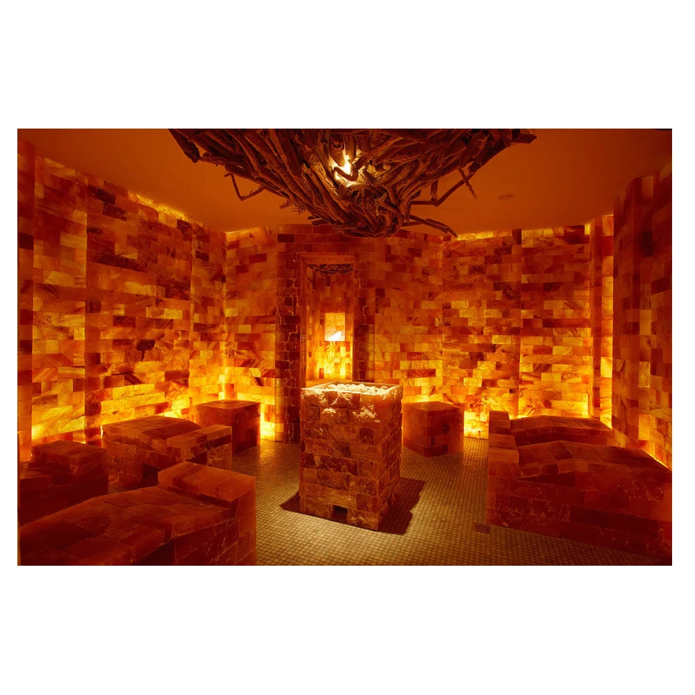 Branded Top Quality Custom Carved Pink Himalayan Salt Slabs Plates For Grilling And Cooking From Pakistan Grilling Cooking