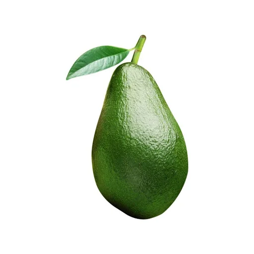 Avocado Fresh Acocado Hass and Fuerte Fresh Fuerte and Hass Avocados