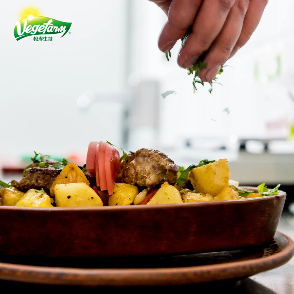 Delicious Tasty Food Supplier Soy Meat Beef Vegan